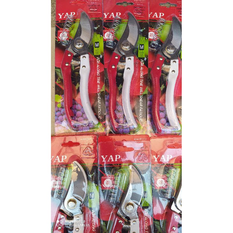 gunting ranting/dahan bonsai