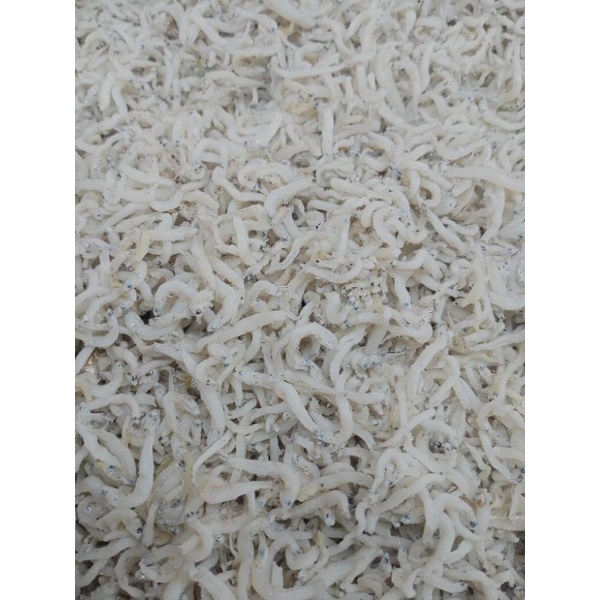 

ikan teri Medan premium 1kg