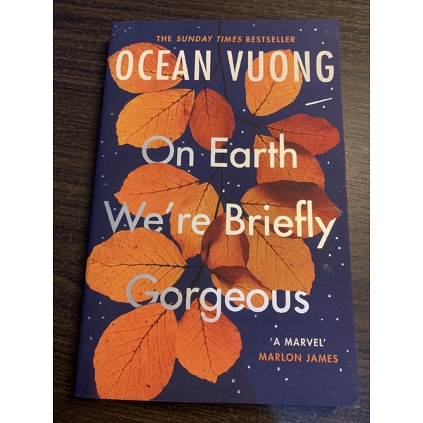

(ORI SECOND) ON EARTH WE’RE BRIEFLY GORGEOUS