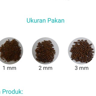 PAKAN LELE HI PRO VITE 781-2 (ECERAN) ~ ~ | Shopee Indonesia