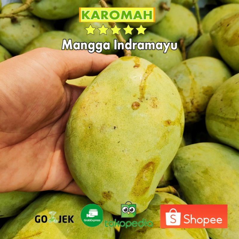 

mangga Indramayu 1kg REQUEST MUDA/MATANG