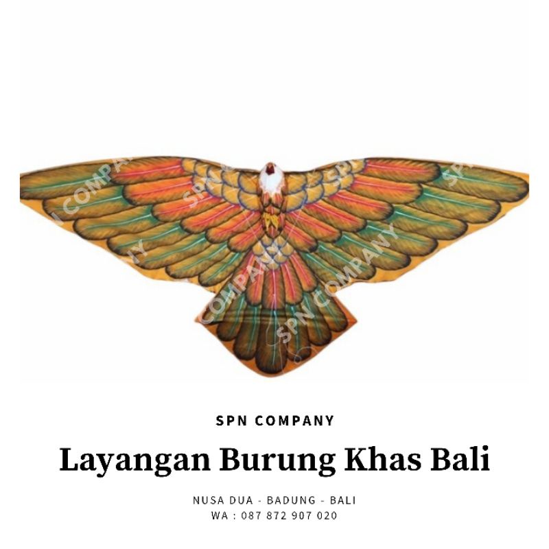 Layangan burung elang khas bali