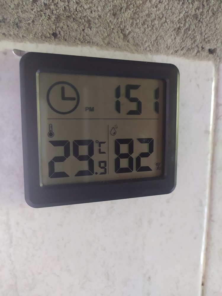 Jam Digital Meja Dinding Thermometer Hygrometer Sensor - Zl20