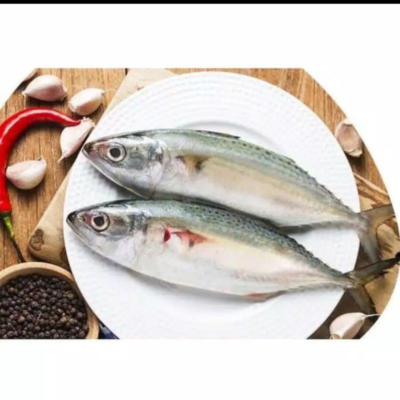 

Ikan Kembung segar