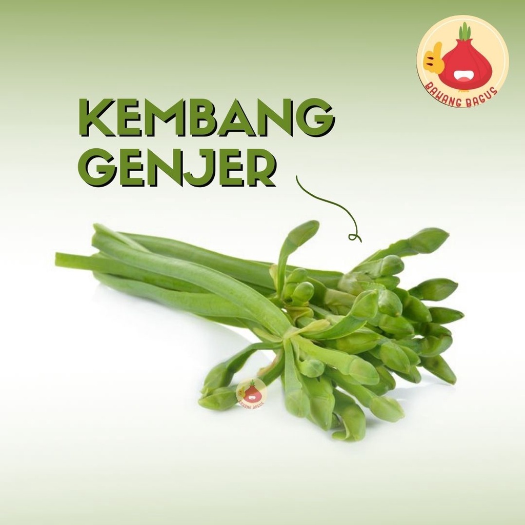 

Kembang Genjer 1 Ikat / Sayur Genjer - Bawangbagus