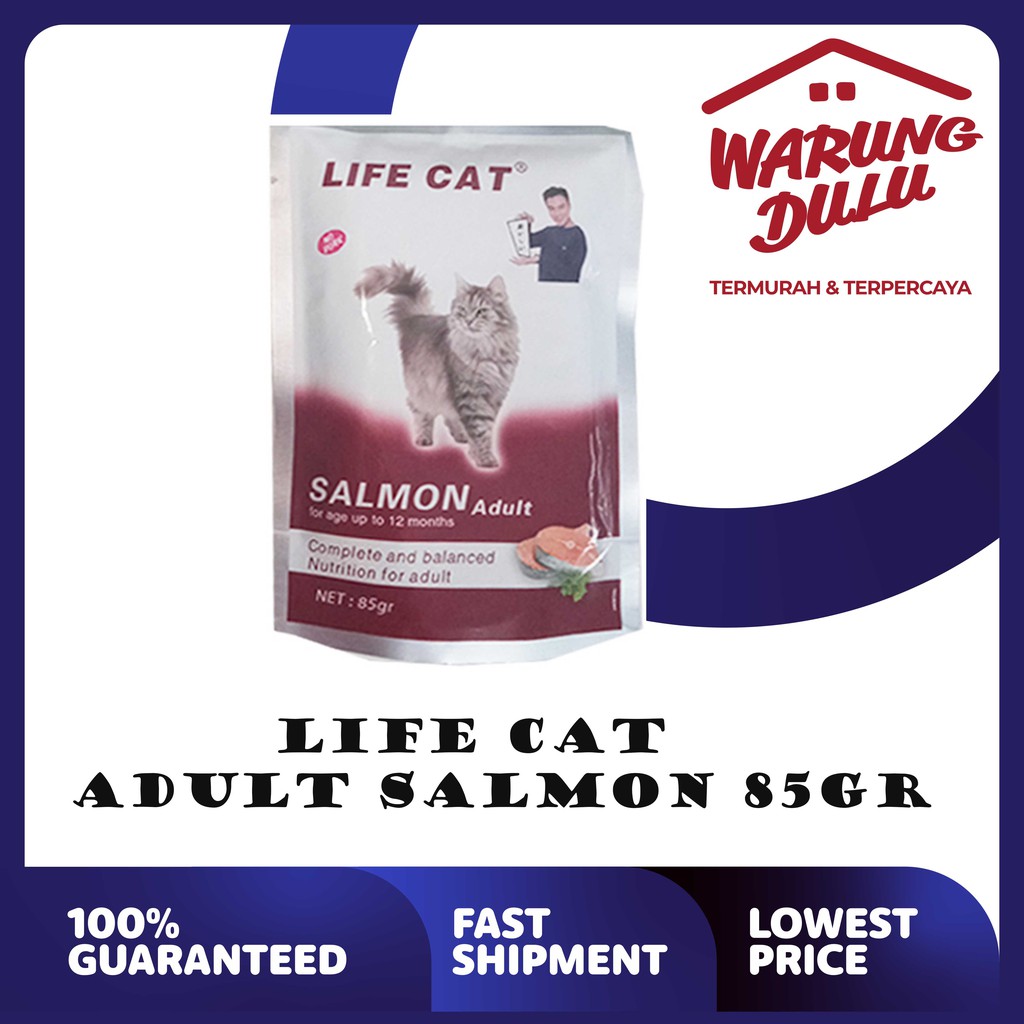 LIFE CAT POUCH ADULT SALMON 85GR