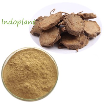 Bubuk Temu Putih 500 g Serbuk Temu Kuning Simplisia Curcuma zedoaria White Tumeric Powder