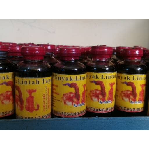 RAMUAN MINYAK LINTAH ASLI KALIMANTAN