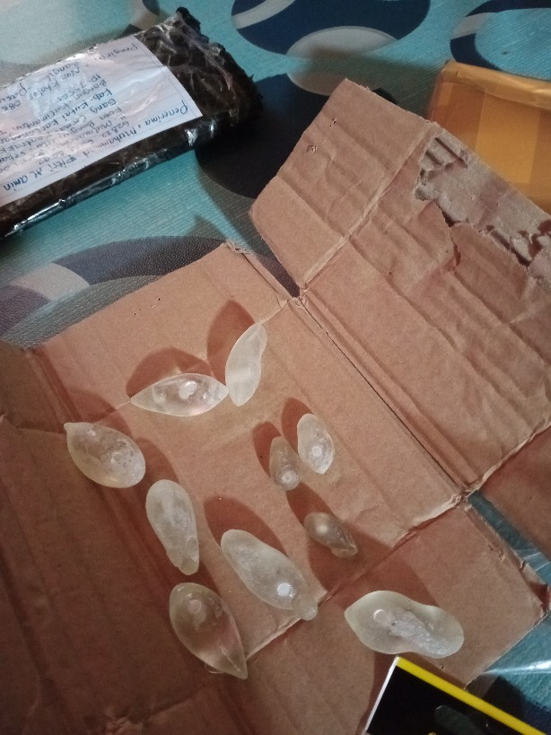 Molding /cetakan Soft Frog Tikus Ada 2 Ukuran 3.5 Dan 3.8 Hook 1/0 Dan 1