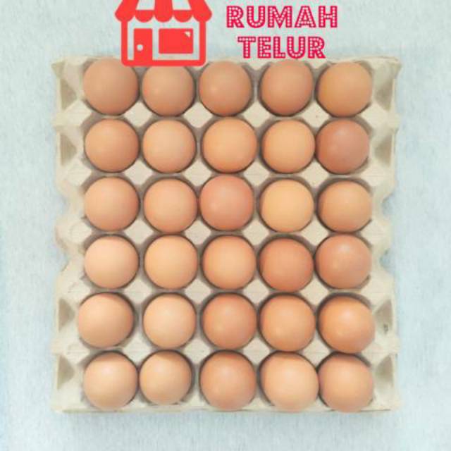 

Telur Omega Curah Segar Perkilo