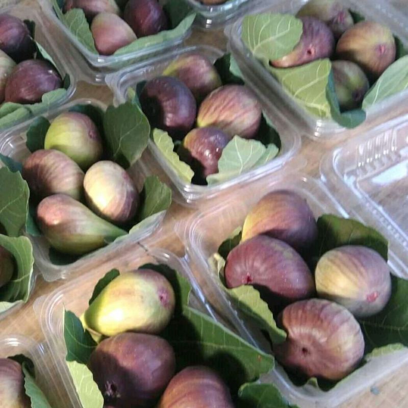 

buah tin fresh 150 gram