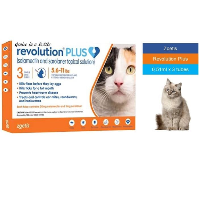 Jual Revolution Plus Cat Orange 0 5ml 1 Tube Obat Kutu Kucing Indonesia Shopee Indonesia