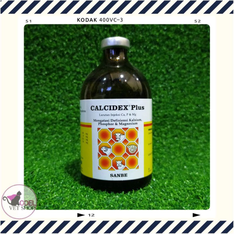 CALCIDEX Plus 100 ml Sanbe Farma  [Malang]