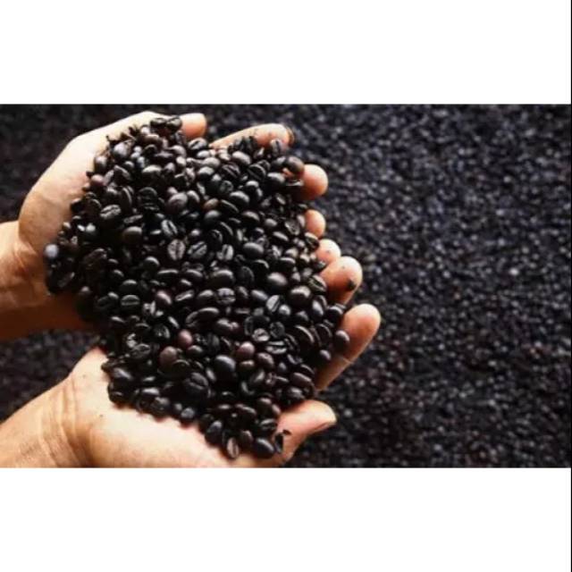 

Biji kopi sangrai 1 kg