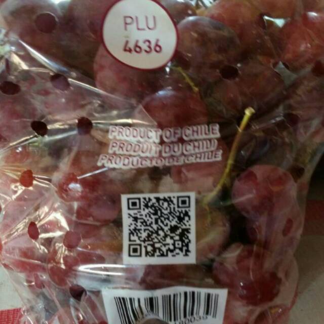 

Anggurr merah#buah#vitamin c