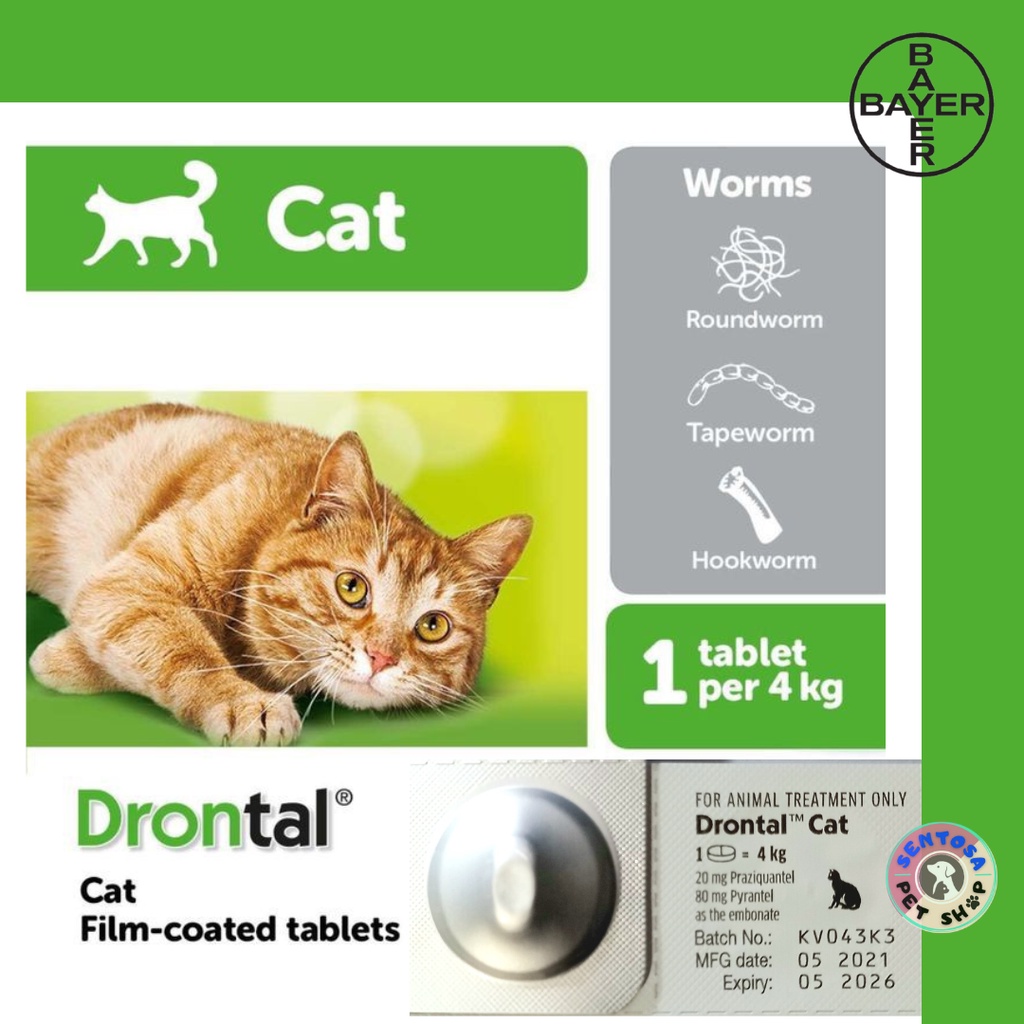 Jual Drontal Cat - Drontal Wormer Tablets For Small And Medium Cats ...