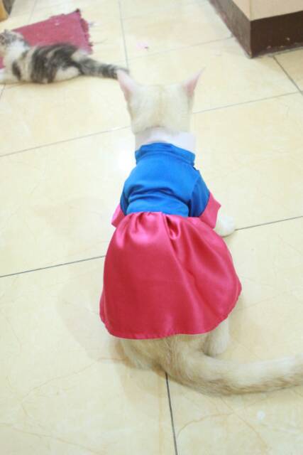 Dress hanbok tradisional untuk kucing &amp; anjing /Jual Baju Kucing Terlengkap &amp; Berkualitas size S-XL