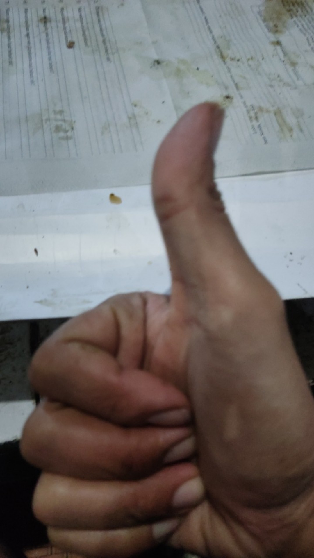 Roda Karet 3 In Roda Etalase Lemari Hitam Hidup Roda Swivel 3 Inch 75mm