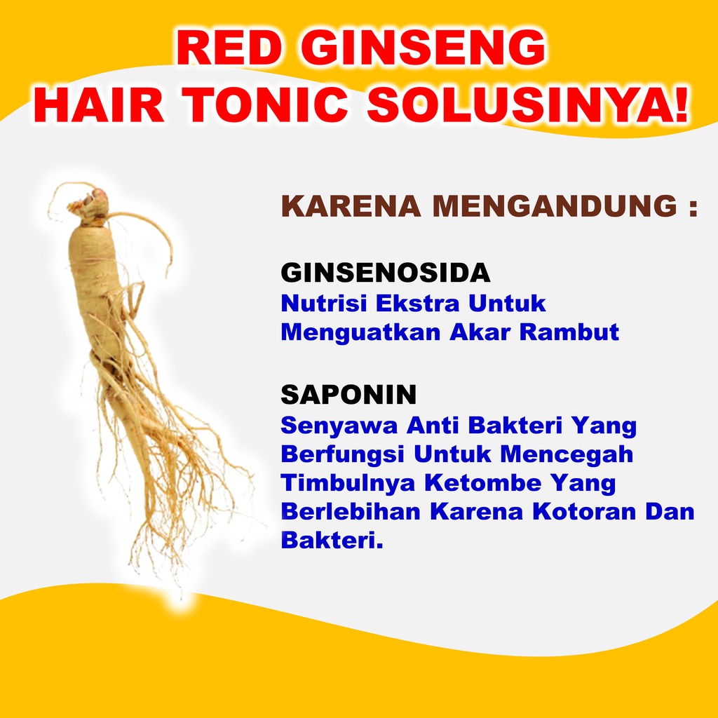 Hair Tonik Rontok Dan Penumbuh Rambut Red Ginseng Paling Ampuh BPOM 250 ml B5P