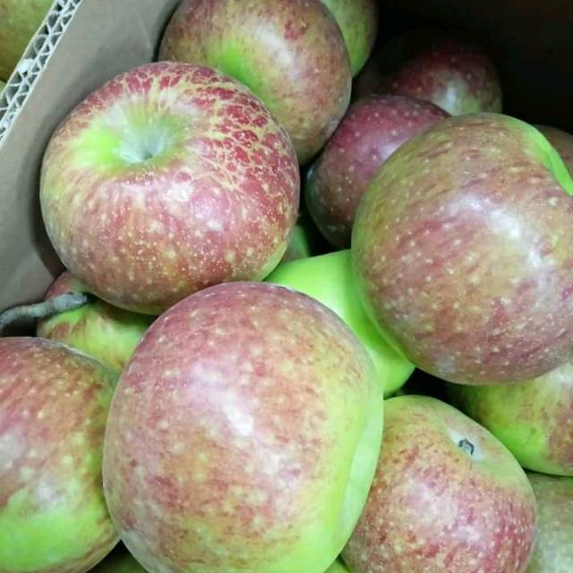 BUAH APEL MALANG 1KG