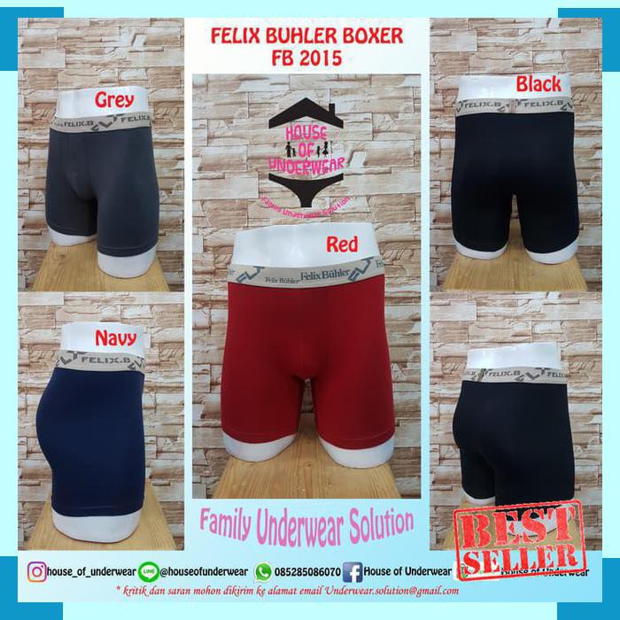 Mantul CELANA DALAM PRIA FELIX BUHLER FB-2015 ISI 2 - MIX DUA WARNA- L