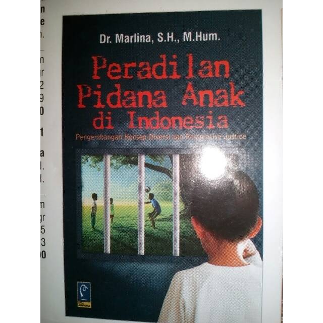 Buku peradilan pidana anak