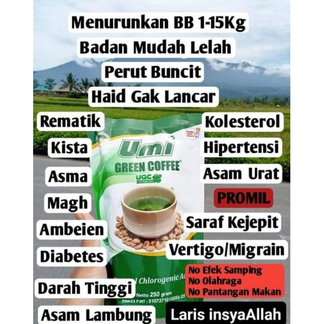 

UMI GREEN COFFE Peluntur Lemak dan Pelangsing Kesehatan