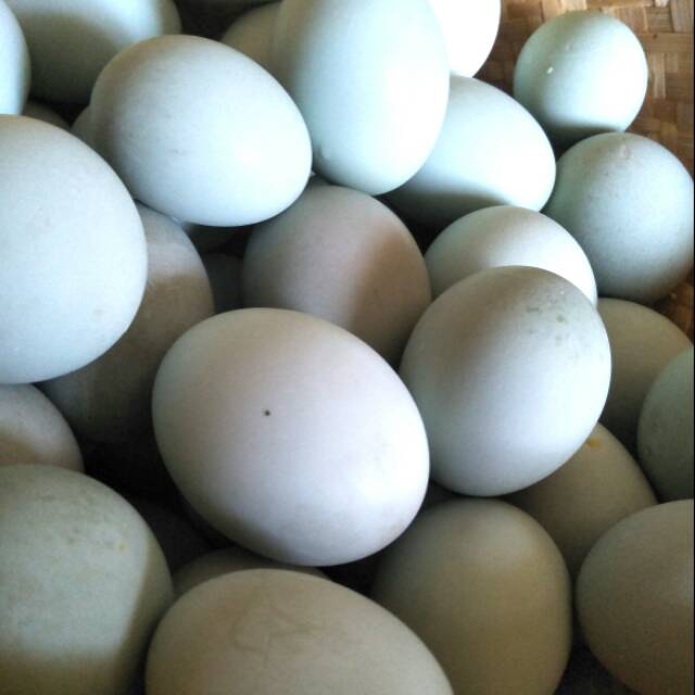 

Telur asin