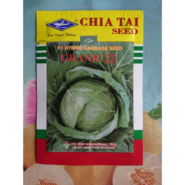 Benih Bibit Kubis Hijau GRAND22 15gr