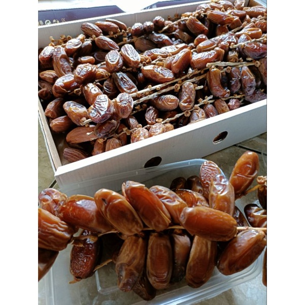 

[TERLARIS] Kurma Tunisia