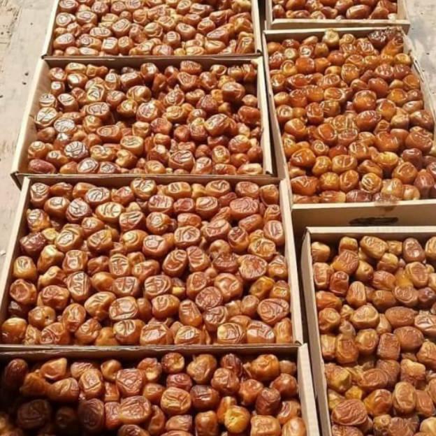 

Laris✥ Kurma Sukari 3kg ORIGINAL / sukari al qassim 3kg / Kurma Sukari Al qassim timbangan lebih Z67 ⁂