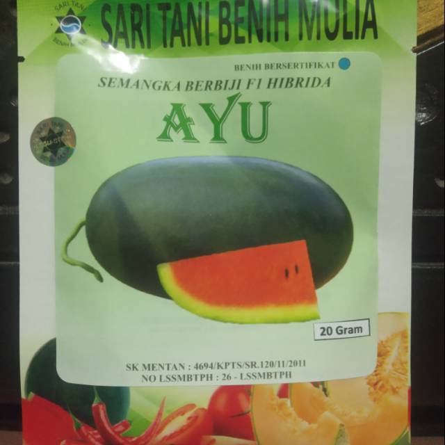 

Inul merah AYU buah redin f1