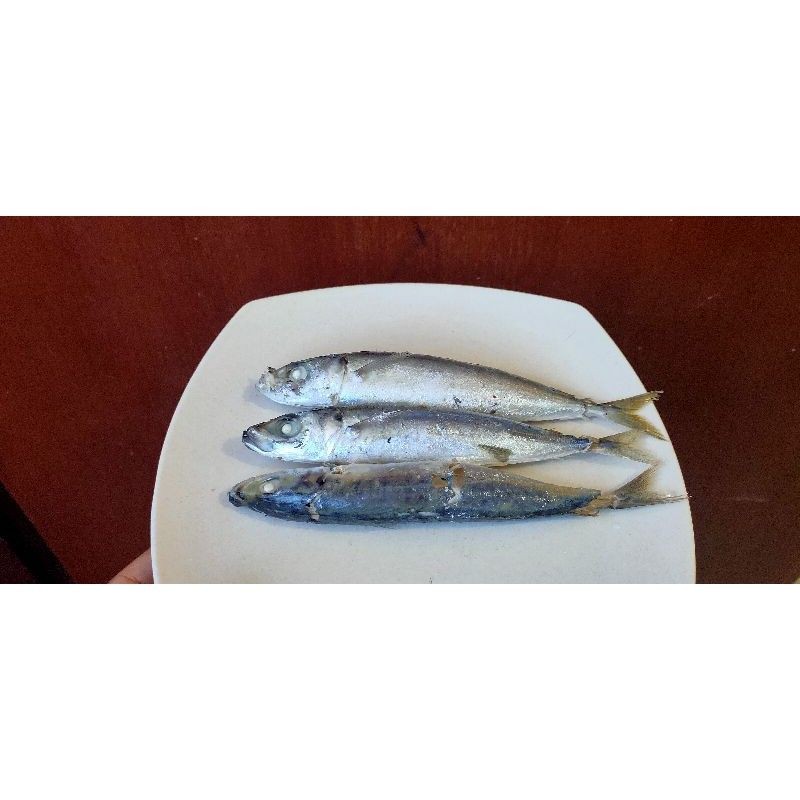 

Bisa Kirim Instan - Ikan Pindang per keranjang