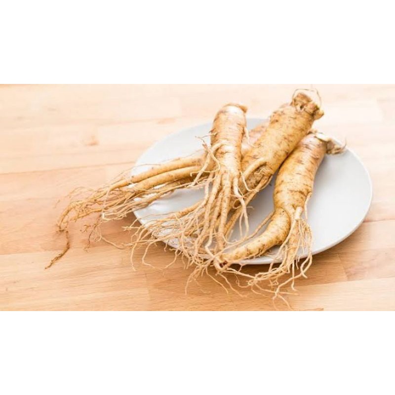 Ginseng korea