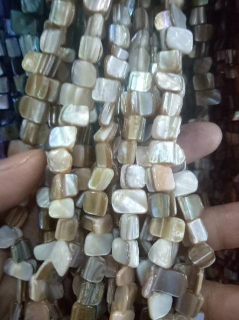 Kerang kotak 35cm