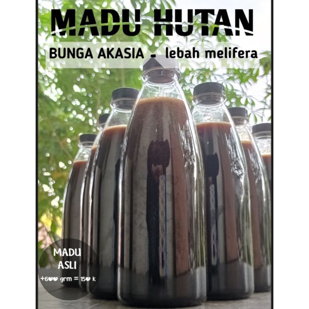 

Madu Hutan asli
