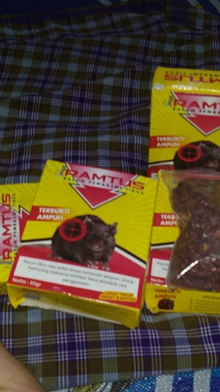Ramtus Obat Racun Tikus Langsung Mati Kering Tidak Bau Sangat Ampuh Racun Pembasmi Tikus 6 Pack