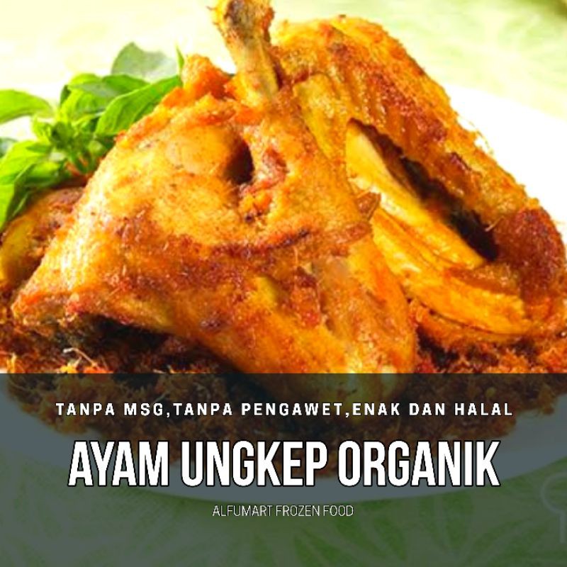 

AYAM UNGKEP ORGANIK/PROBIOTIK/SEHAT/HALAL