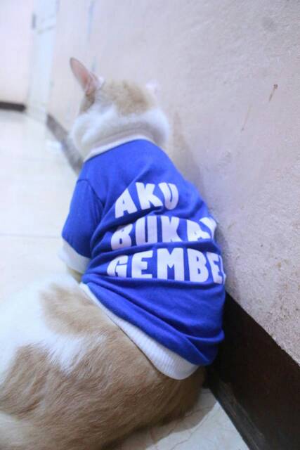 Kaos diskon 7.7 sablon keren untuk kucing size S M L XL