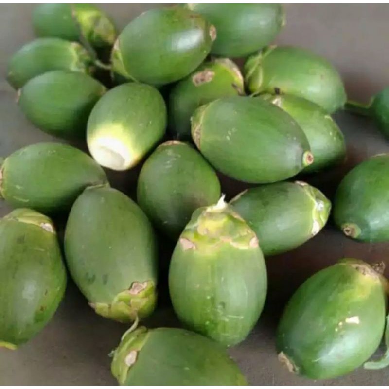 

Pinang ( Herbal/Tradisional )
