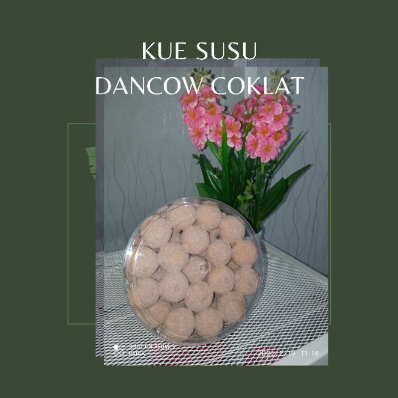

kue susu dancow coklat