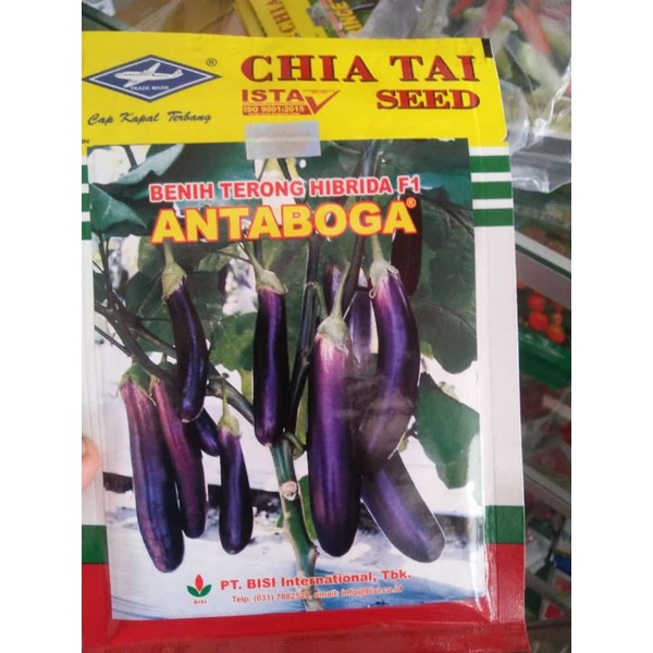 Benih bibit terong HIBRIDA F1 ANTABOGA isi 10gr exp bulan 9-2027Jaminan original
