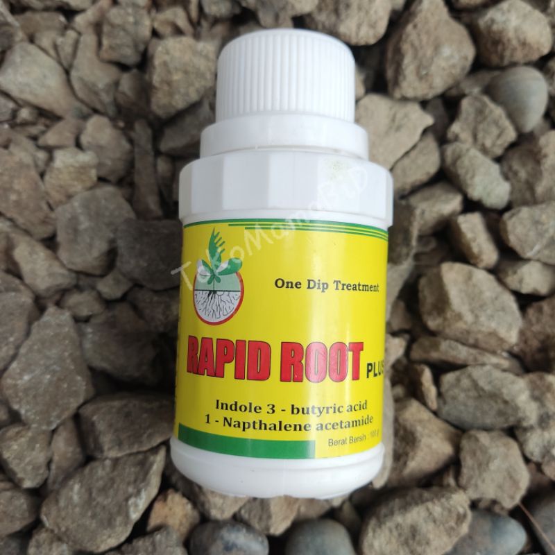 Rapid Root Perangsang Akar