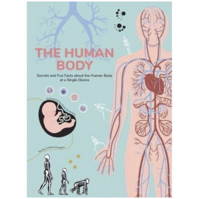 The Human Body: Secret Fun Fact about Human Body Encyclopedia buku impor / import book