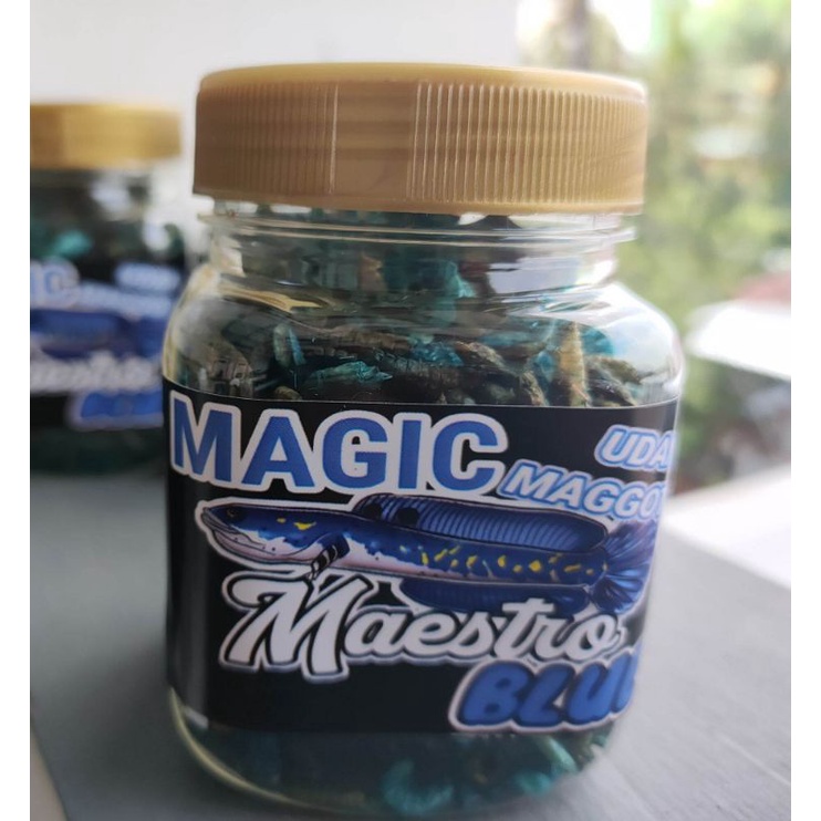 Udang mix MAGGOT BLUE untuk Channa Drawf, Pulchra, Stewarty, Orna, Barca
