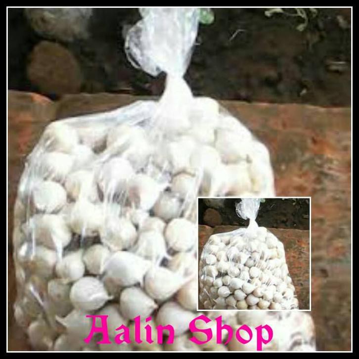 

BAWANG PUTIH TUNGGAL/BAWANG LANANG