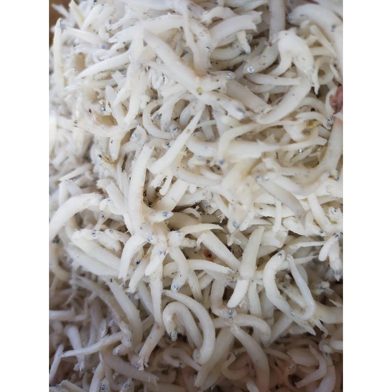 

ikan asin teri nasi/ teri medan