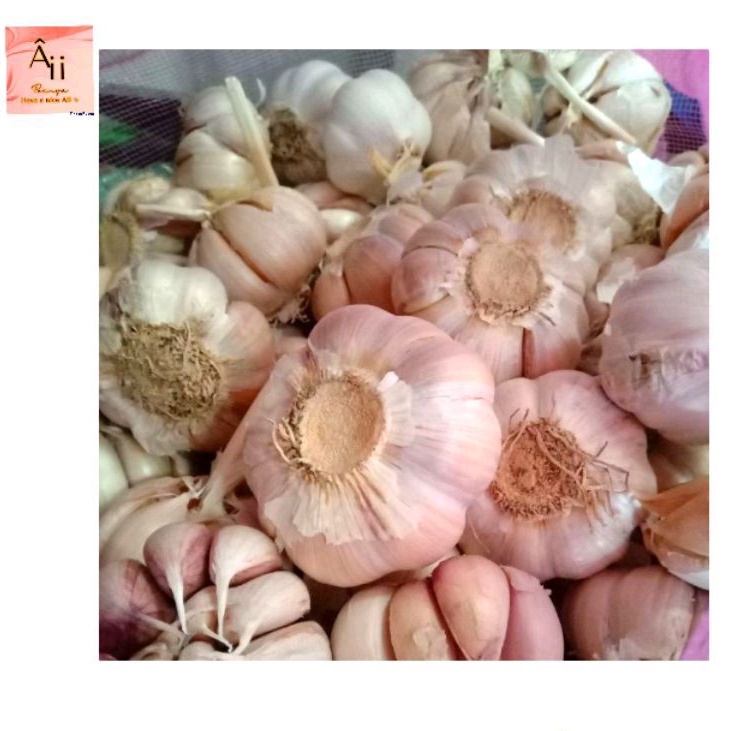 

50GRAM bawang putih biasa curah netto 50GRAM ukuran mix besar kecil