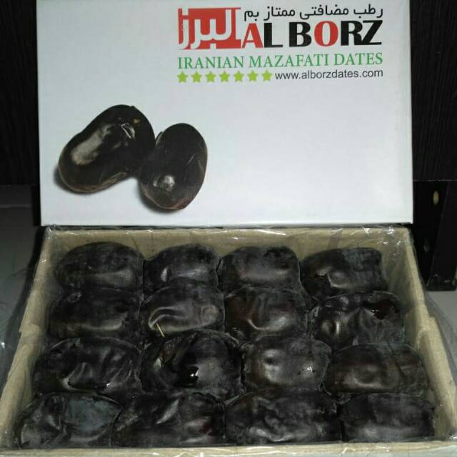 

Kurma Alborz Murah