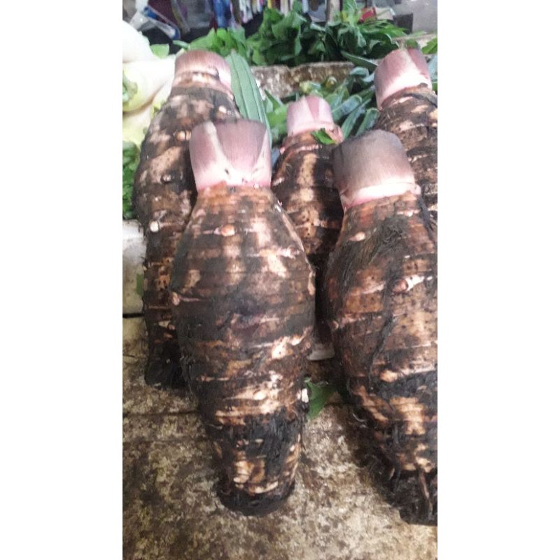 TALES KALIMANTAN 500GRM